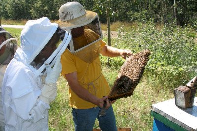 Quality Canadian Honey