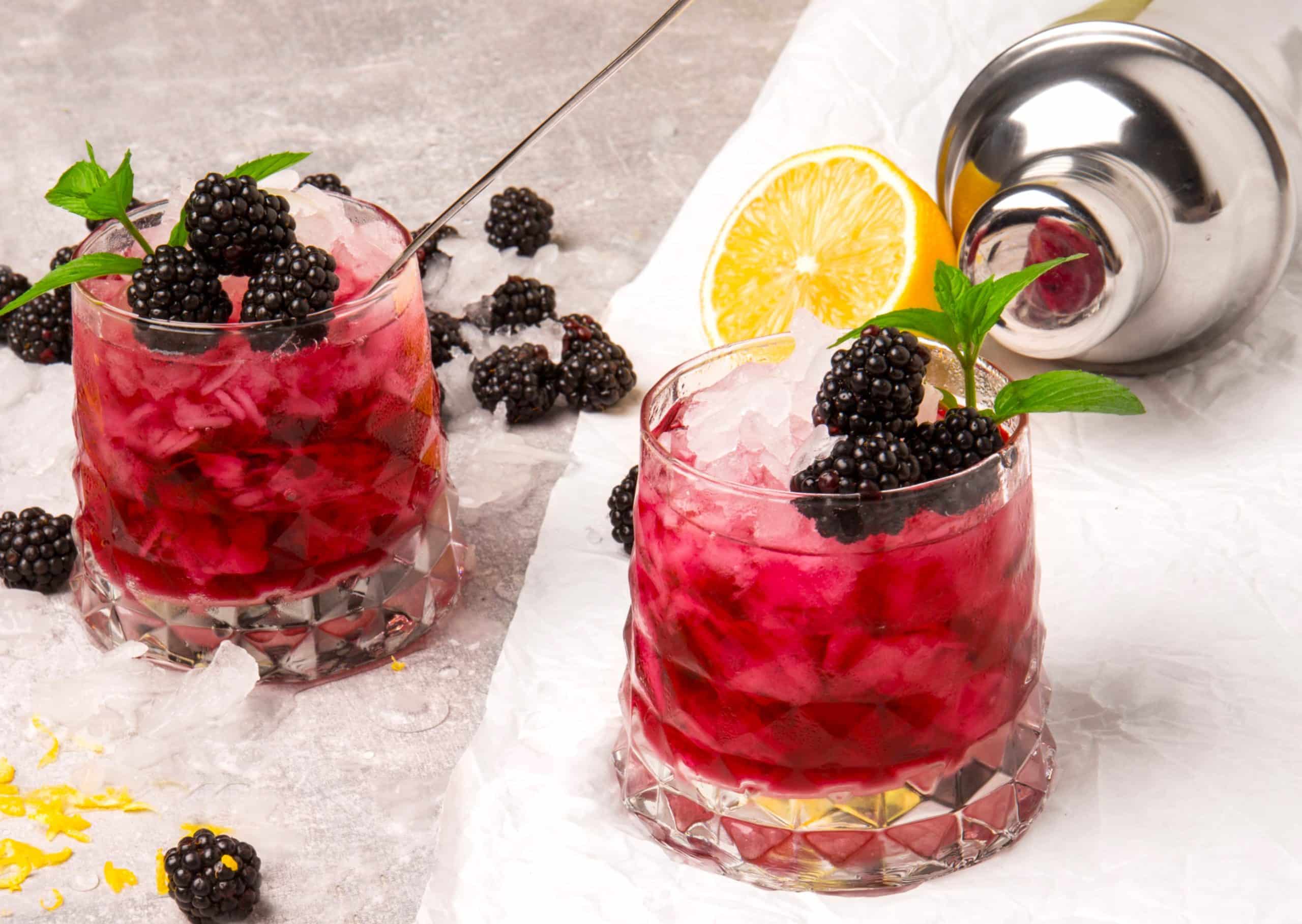 Featured image for “Honey Blackberry Mint Fizz”